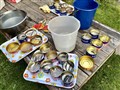 Strömming1.jpg